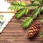 euroFEN_weihnachtsbrief